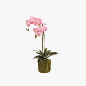 Faux Pink Phalaenopsis Orchid 23" Drop-In