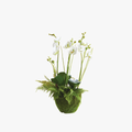 Faux White Orchid and Fern 18" Drop-In