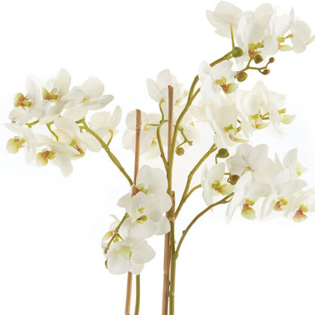 Faux White Phalaenopsis Orchid petal closeup