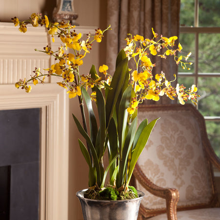 Faux Yellow Dancing Orchid Drop-In styled in living room