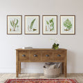 Fern Study Framed Prints above wood console