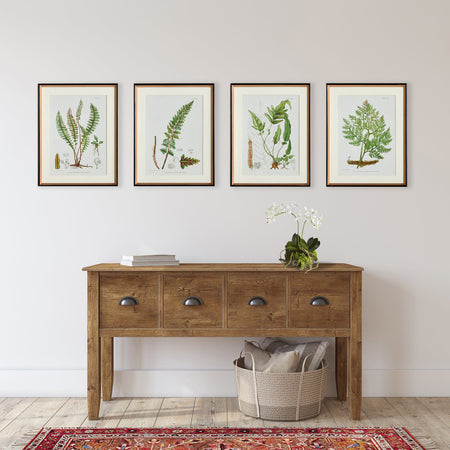 Fern Study Framed Prints above wood console