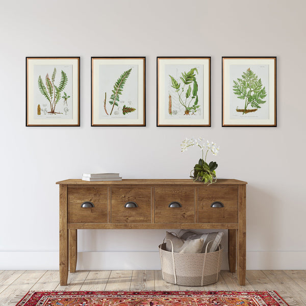 Fern Study Framed Prints above wood console