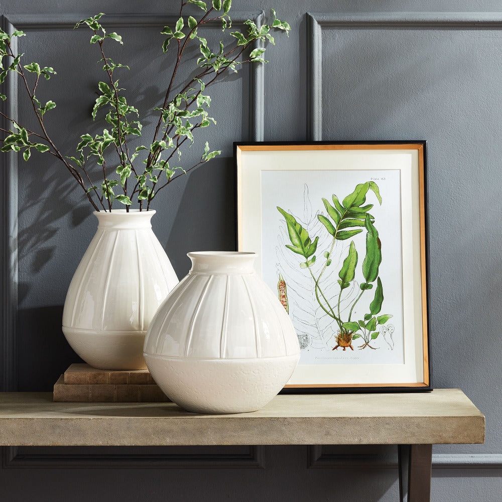 Fern Study Framed Print styled on table