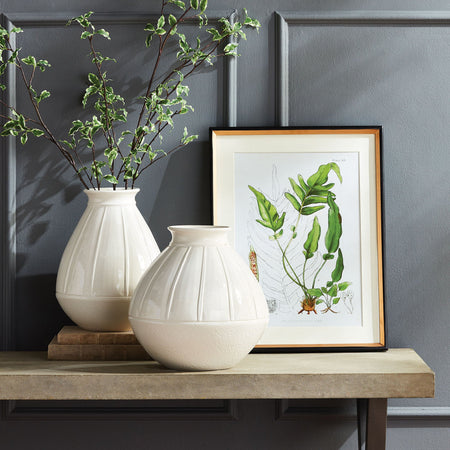 Fern Study Framed Print styled on table