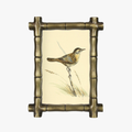Fields Bamboo Frame