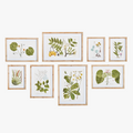 Flora and Fauna Gallery Framed Prints