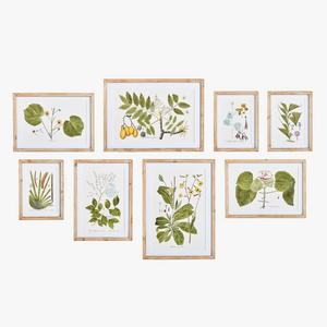 Flora and Fauna Gallery Framed Prints