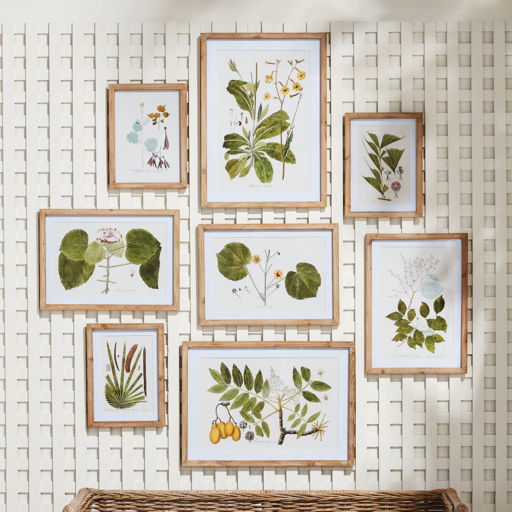 Flora and Fauna Gallery Framed Prints on lattice wall