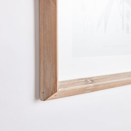 Flowering Leaf Study Framed Prints - beveled wood frame closeup