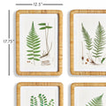 Forest Fern Framed Prints - closeup with dimensions