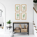 Forest Fern Framed Prints - set of four on wall