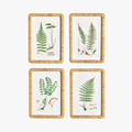 Forest Fern Framed Prints - woven rattan frames