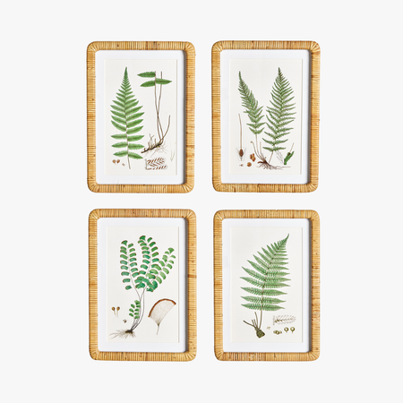 Forest Fern Framed Prints - woven rattan frames