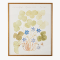 Framed Blue Anemone Bookplate Print