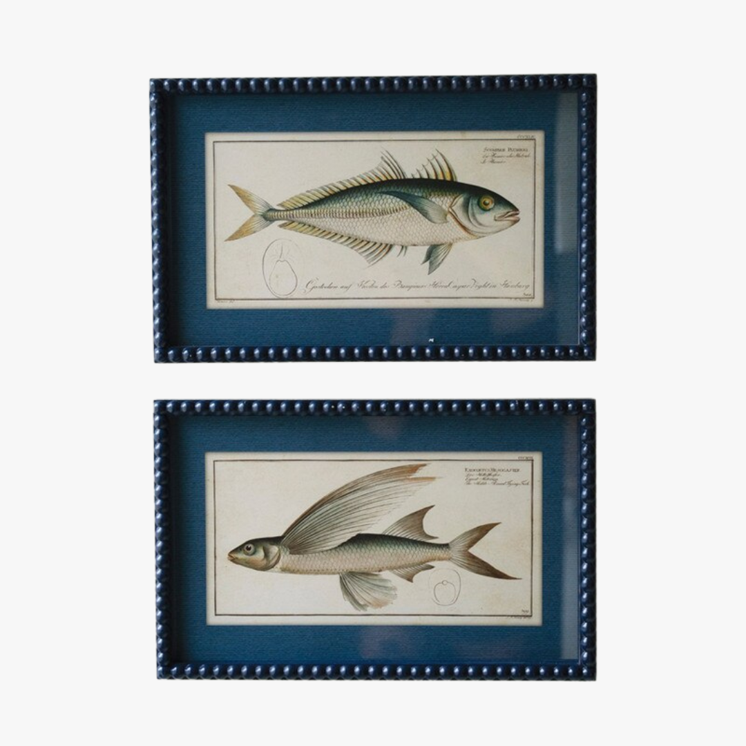 Framed Fish Prints