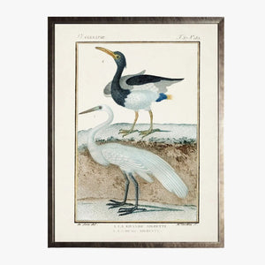 Framed Shorebirds II Bookplate Print
