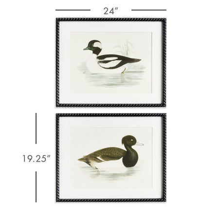Framed Wading Duck Print dimensions
