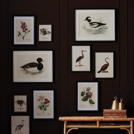 Framed Wading Duck Prints styled on dark wall