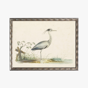 Framed Waterbird I Bookplate Print