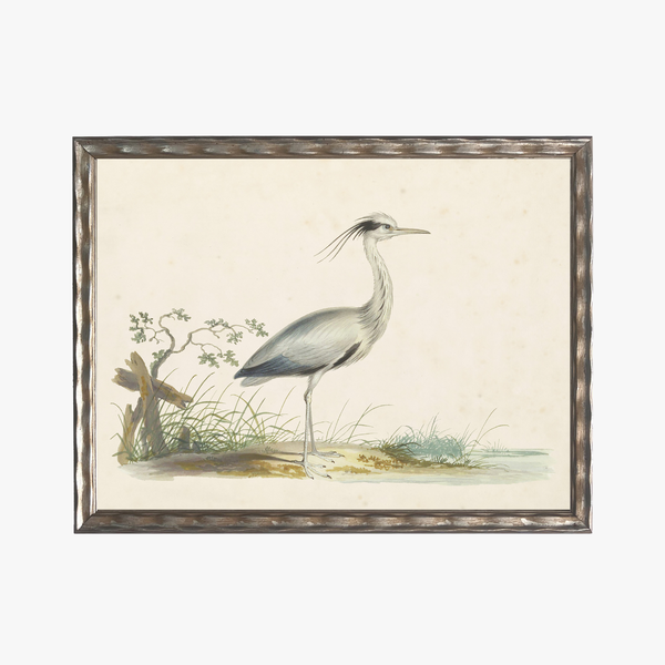 Framed Waterbird I Bookplate Print