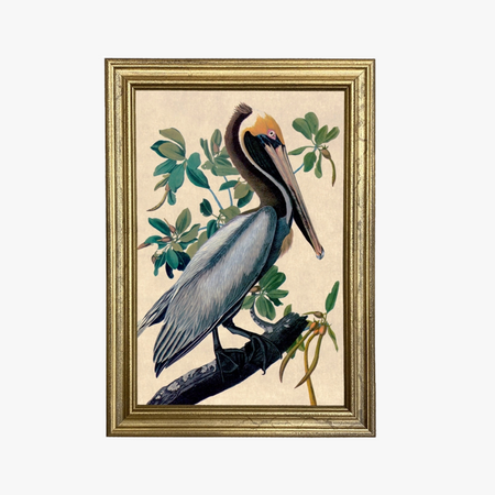 Gold Framed Pelican