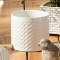 Hamilton Cachepot - cane woven texture