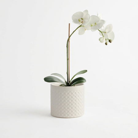 Hamilton White Cachepot with faux orchid
