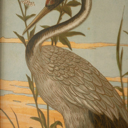 Heron Sunset art print