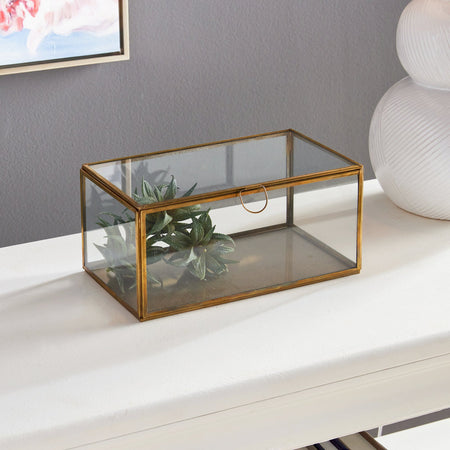 Hollis Glass and Brass Display Box closeup with greenery