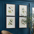 Hummingbirds with Blush Blooms Framed Prints on dark blue wall