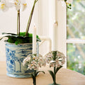 Hydrangea Taper Holders styled with blue peacock orchid pot