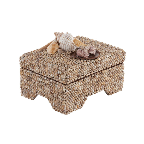 Island Mixed SeaShell Footed Box  angle view
