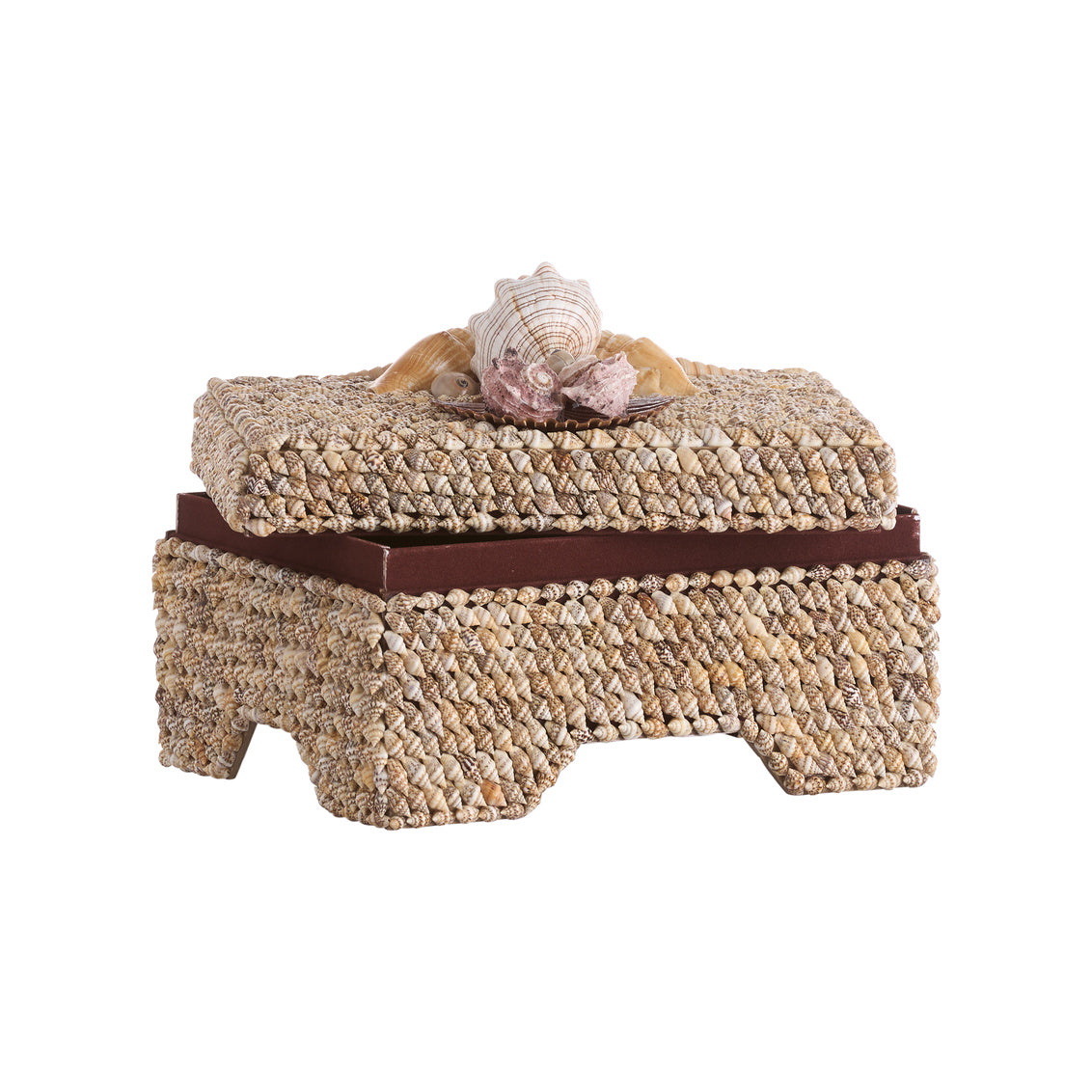 Island Shell Box - Coastal Inspired Decor - Dear Keaton