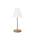 Jackson Rechargeable Lamp - adjusted to shorter height