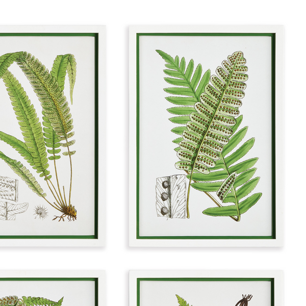 Layered Fern Framed Prints - green and white frames