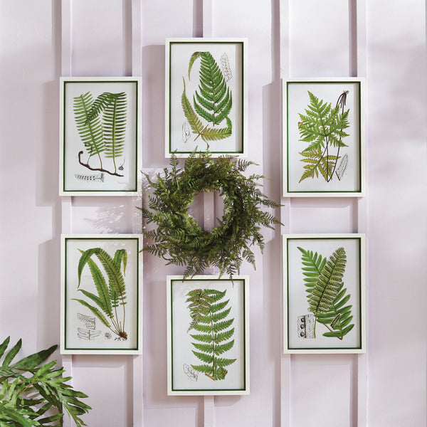 Layered Fern Framed Prints - set of six