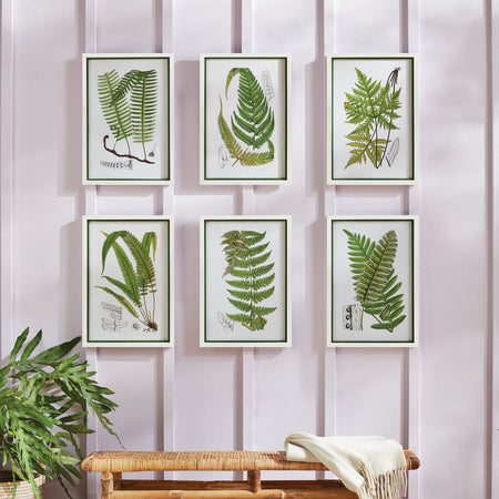  Fern Framed Prints styled above bench