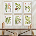 Leaf Botanical Study Framed Prints on wall