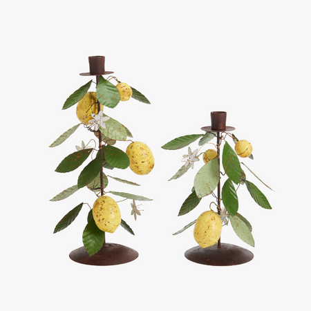 Lemon Taper Holders