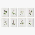 Les Fleurs Petite Framed Prints