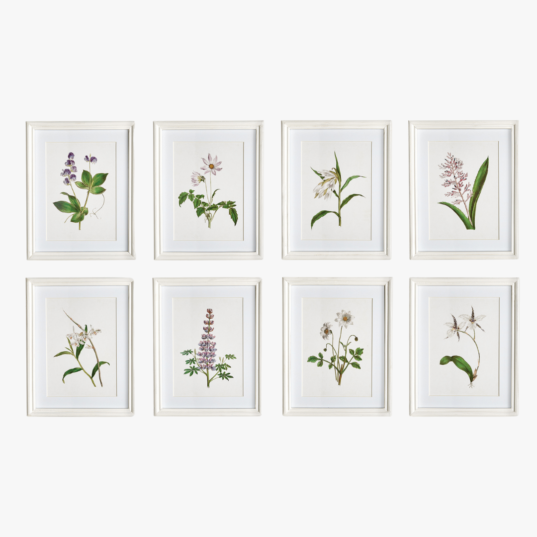 Les Fleurs Petite Framed Prints