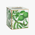 Lime Tree Tissue Box Cover with gold trim