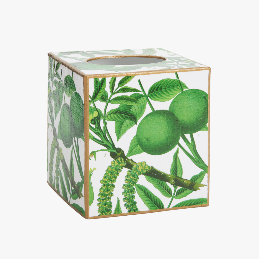 Lime Tree Tissue Box Cover with gold trim