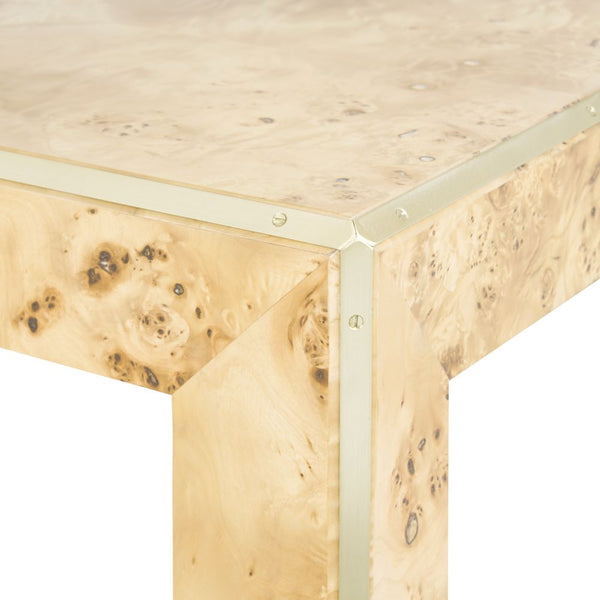 Marin Burl Side Table - Brass corner detail
