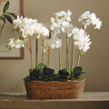 Mandalay Scalloped Oval Basket with faux orchids