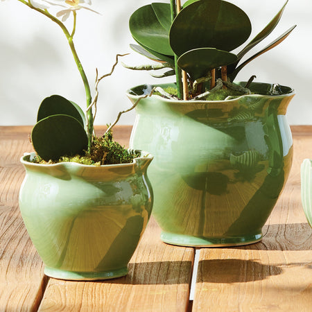 Margot Green Ruffle Pots with plants