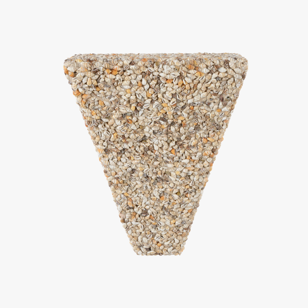 Mixed Shells Wall Bracket - Shelf for Wall Decor - Dear Keaton