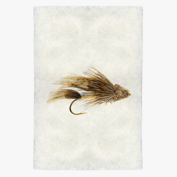 Muddler Minnow Fishing Fly Print