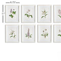 Les Fleurs Petite Framed Prints dimensions